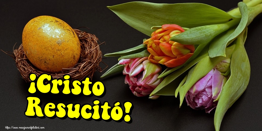 Felicitari de Paste in Spaniola - ¡Cristo Resucitó! - mesajeurarifelicitari.com Felicitari de Paste in Spaniola - ¡Cristo Resucitó! - mesajeurarifelicitari.com