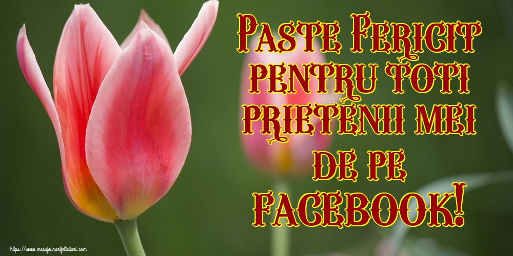 Paste Fericit pentru toti prietenii mei de pe facebook!