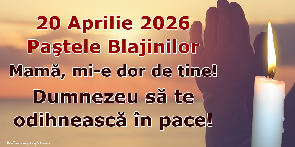 20 Aprilie 2026 Paştele Blajinilor Mamă, mi-e dor de tine! Dumnezeu să te odihnească în pace!