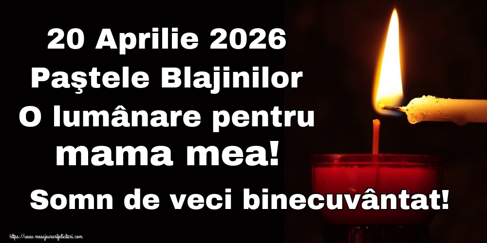 20 Aprilie 2026 Paştele Blajinilor O lumânare pentru mama mea! Somn de veci binecuvântat!