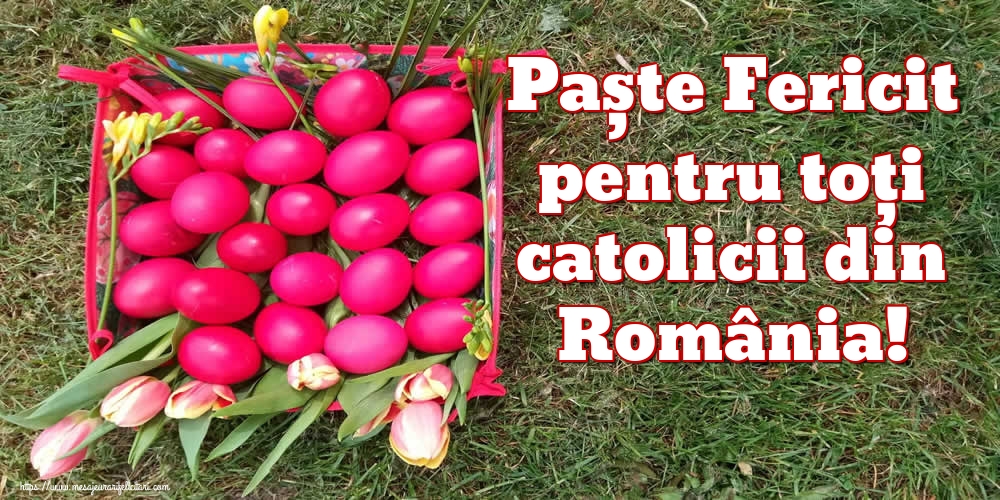 Paște Fericit pentru toți catolicii din România!
