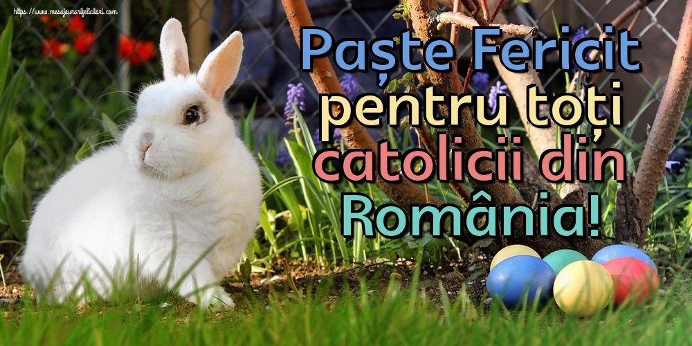 Paște Fericit pentru toți catolicii din România!