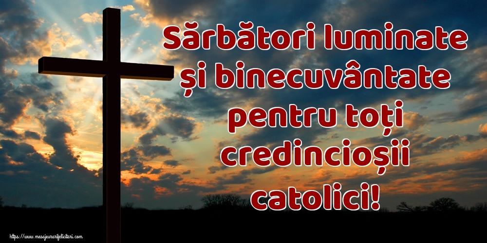 Sărbători luminate și binecuvântate pentru toți credincioșii catolici!
