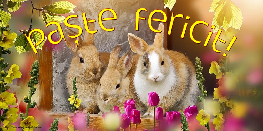 Paște Fericit!