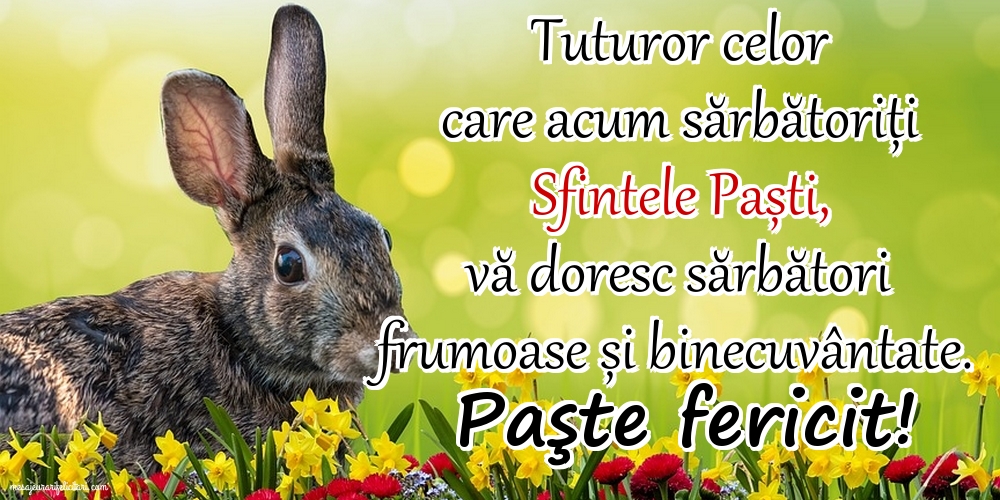 Paşte fericit!