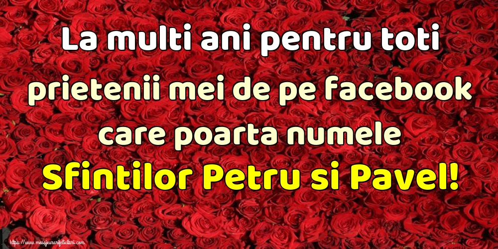 La multi ani pentru toti prietenii mei de pe facebook care poarta numele Sfintilor Petru si Pavel!
