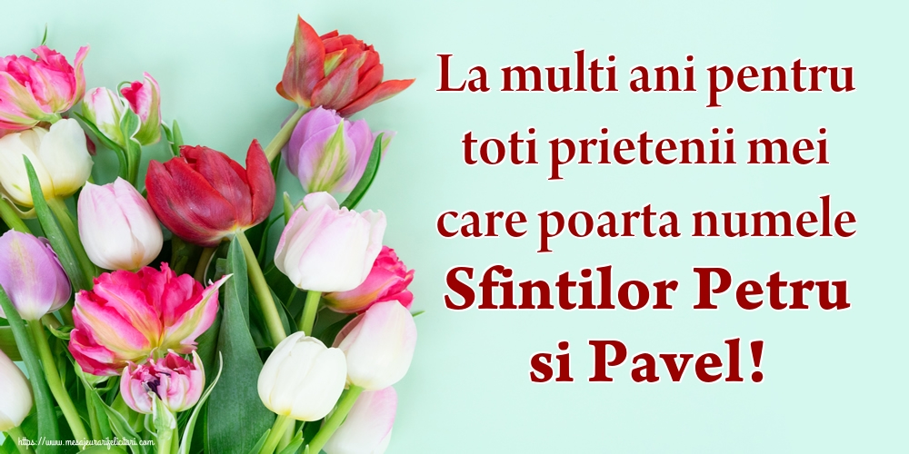 La multi ani pentru toti prietenii mei care poarta numele Sfintilor Petru si Pavel!