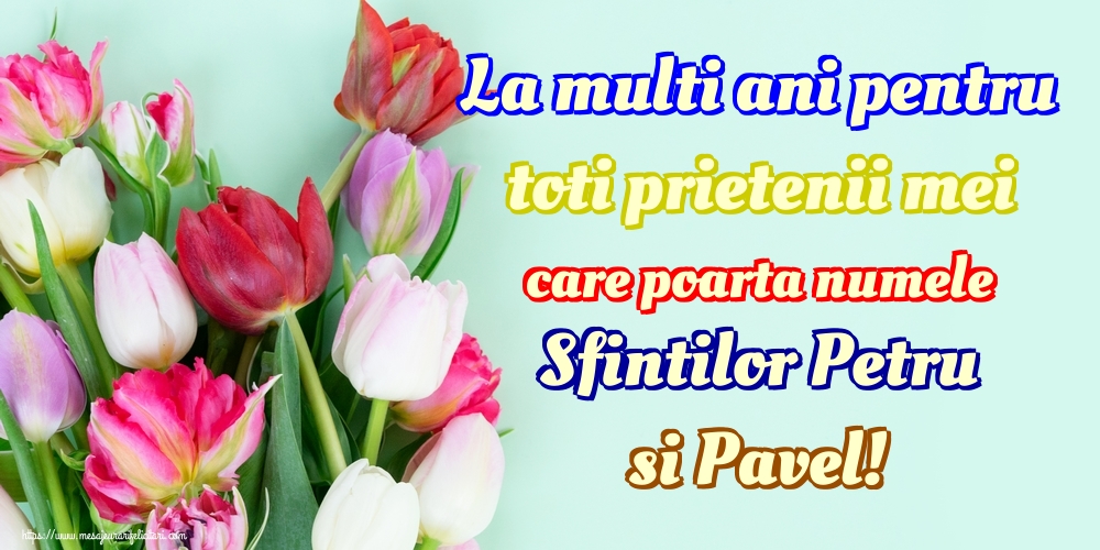 La multi ani pentru toti prietenii mei care poarta numele Sfintilor Petru si Pavel!