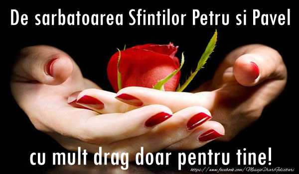 De sarbatoarea Sfintilor Petru si Pavel cu mult drag doar pentru tine!