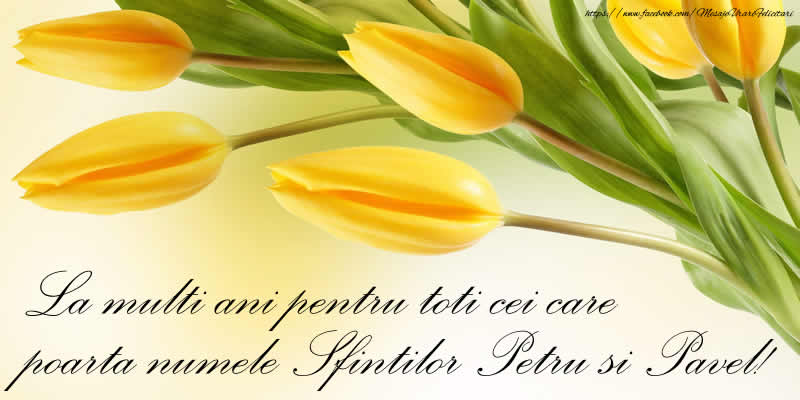 La multi ani pentru toti cei care poarta numele Sfintilor Petru si Pavel!