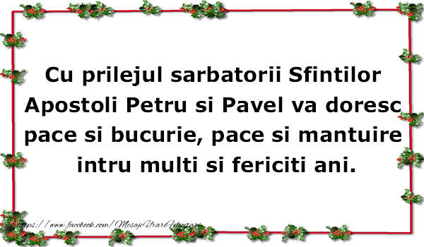 Cu prilejul sarbatorii Sfintilor Apostoli Petru si Pavel va doresc pace si bucurie, pace si mantuire intru multi si fericiti ani.