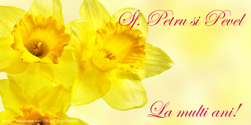 Sf. Petru si Pevel La multi ani!