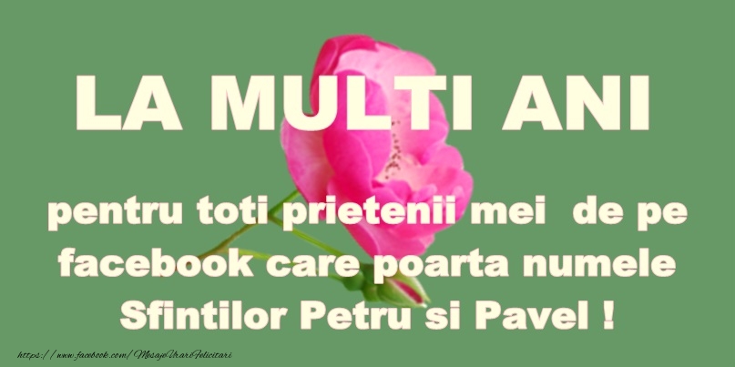 La mulţi ani pentru toti prietenii mei de pe facebook care poate numele Sfintilor Petru si Pavel!