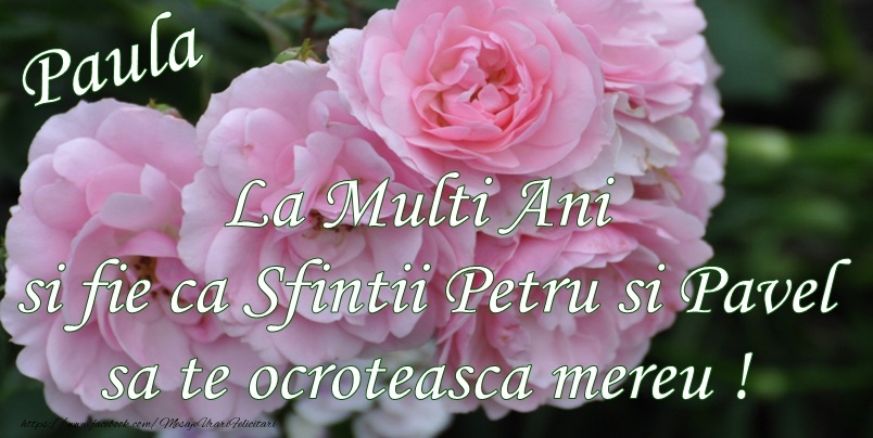 Paula La multi ani si fie ca Sfintii Petru si Pavel sa te ocroteasca mereu!