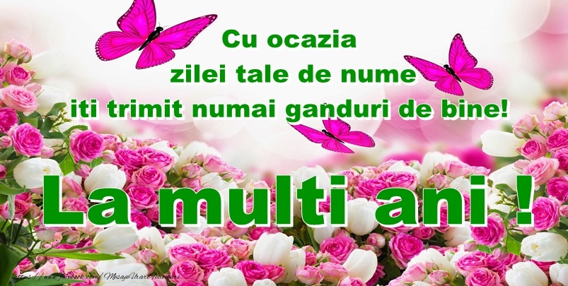 Cu ocazia zilei tale de nume iti trimit numai ganduri de bine! La multi ani!