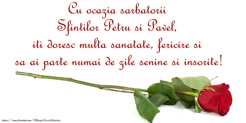Cu ocazia sarbatorii Sfintilor Petru si Pavel, iti doresc multa sanatate, fericire si sa ai parte numai de zile senine si insorite!