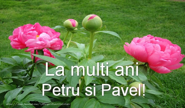La multi ani Petru si Pavel!