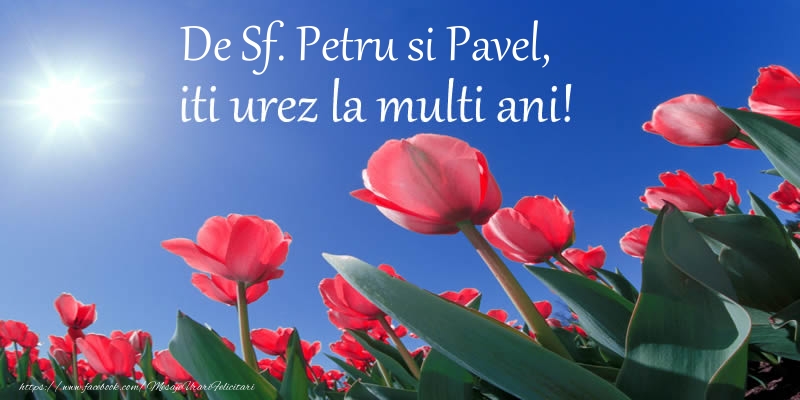 De Sf. Petru si Pavel, iti urez La multi ani!