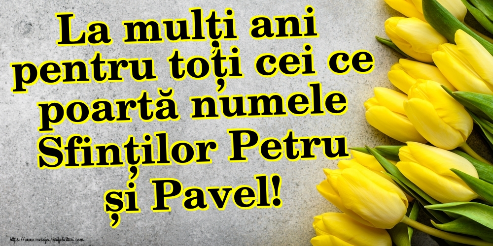 La mulți ani pentru toți cei ce poartă numele Sfinților Petru și Pavel!