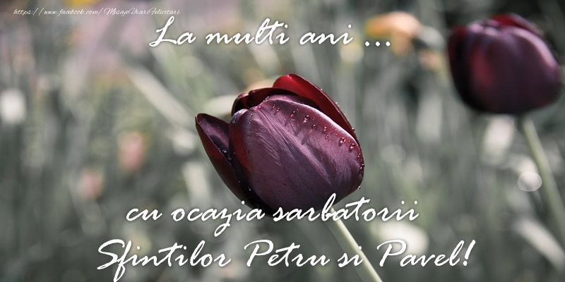 La multi ani ... cu ocazia sarbatorii Sfintilor Petru si Pavel!