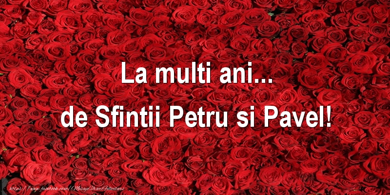 La multi ani... de Sfintii Petru si Pavel!