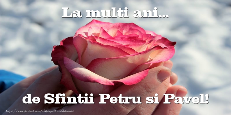 La multi ani... de Sfintii Petru si Pavel!