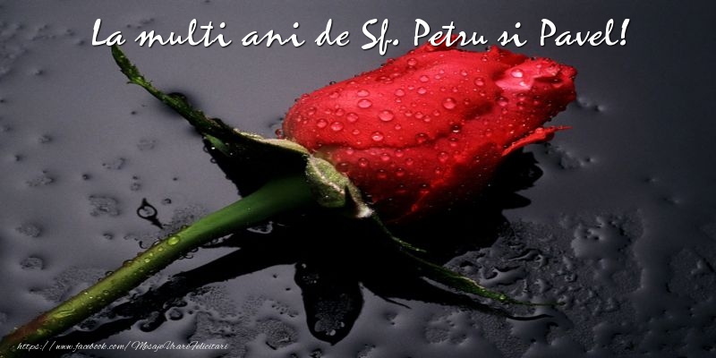 La multi ani de Sf. Petru si Pavel!