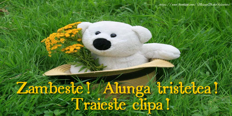 Felicitari de prietenie - Zambeste! Alunga tristetea! Traieste clipa! - mesajeurarifelicitari.com