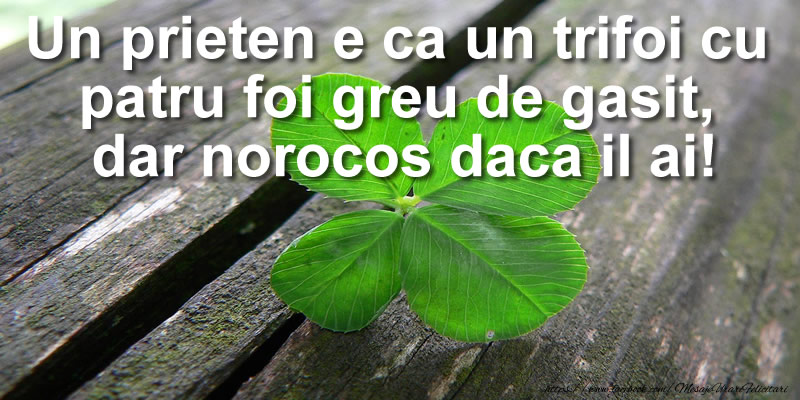 Felicitari de prietenie - Un prieten e ca un trifoi cu  patru foi greu de gasit,  dar norocos daca il ai! - mesajeurarifelicitari.com