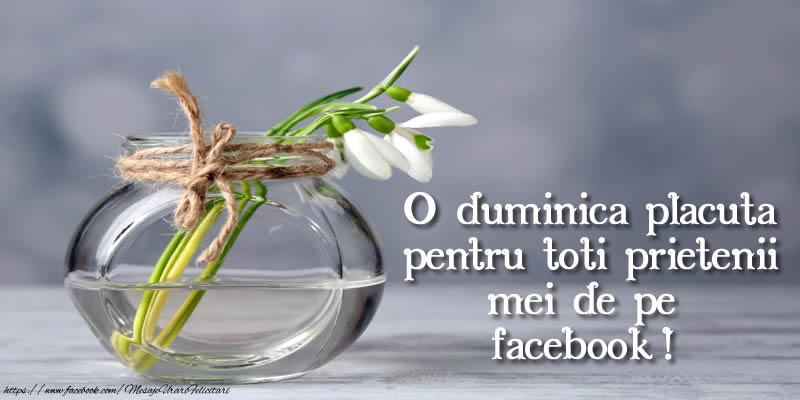 Felicitari de prietenie - O duminica placuta pentru toti prietenii mei de pe facebook! - mesajeurarifelicitari.com