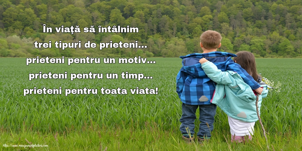 Prietenie Prieteni pentru toata viata!