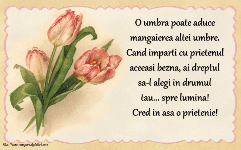 Cred in asa o prietenie!