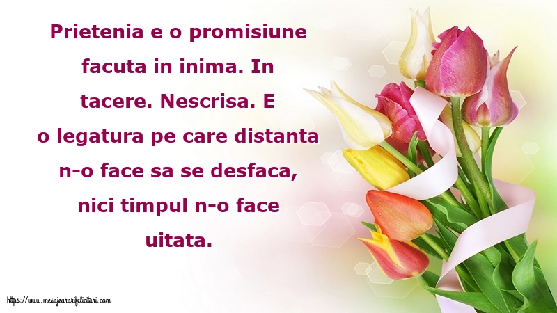 Prietenia e o promisiune facuta in inima