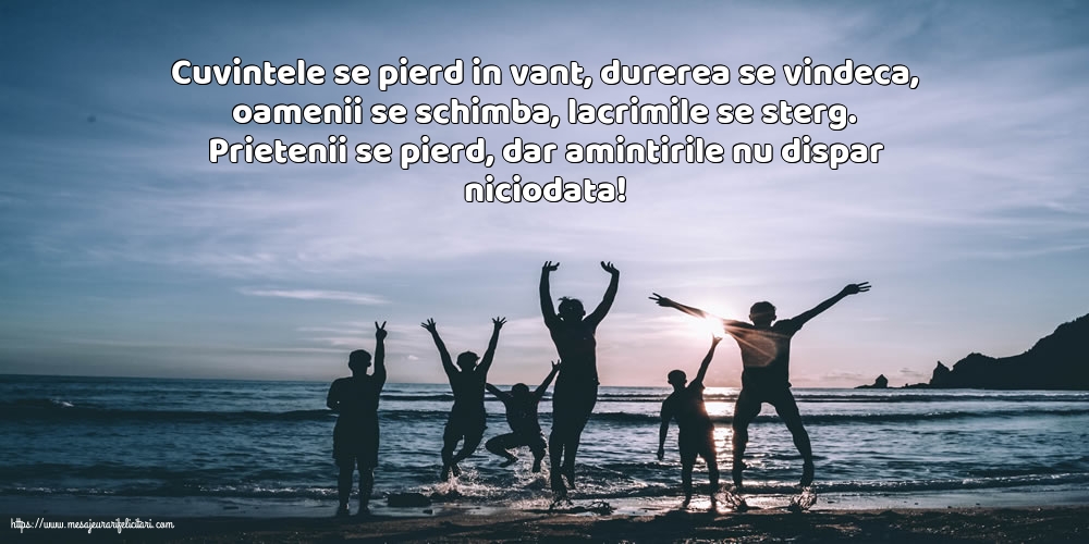 Prietenie Prietenii se pierd, dar amintirile nu dispar niciodata!