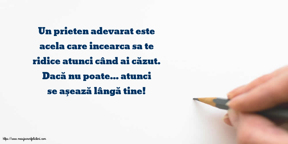 Prietenie Un prieten adevarat