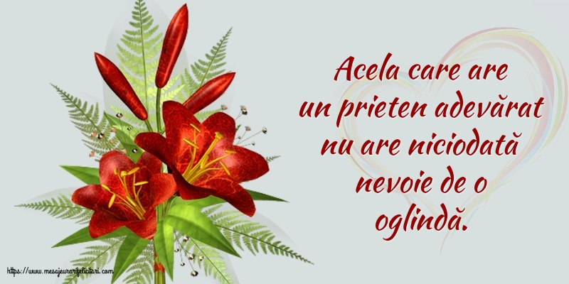 Prietenie Prieten adevărat