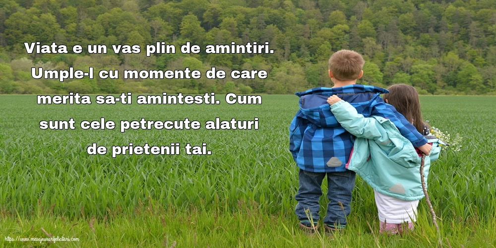 Prietenie Viata e un vas plin de amintiri