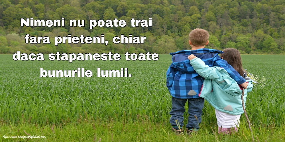 Prietenie Nimeni nu poate trai fara prieteni