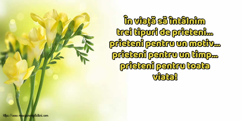 Prieteni pentru toata viata!