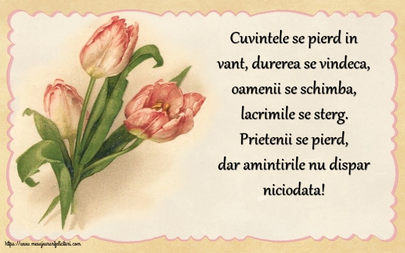 Prietenii se pierd, dar amintirile nu dispar niciodata!