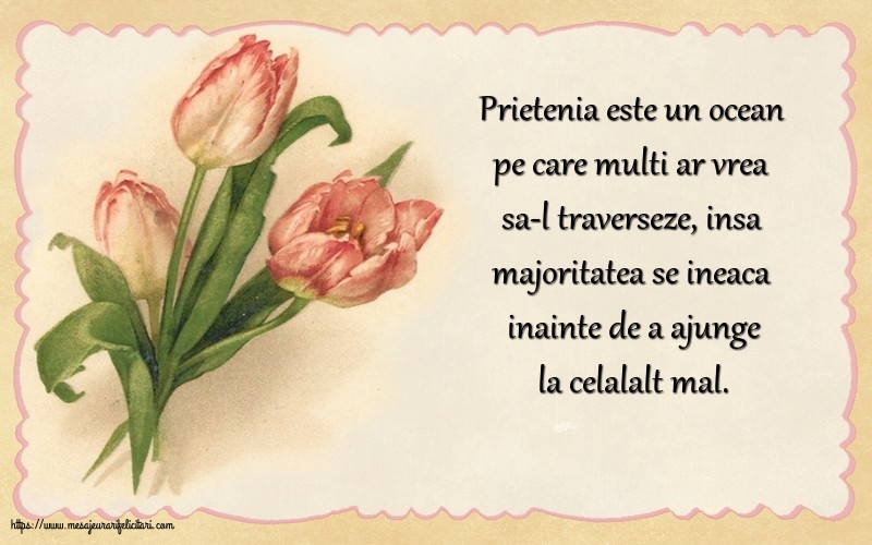 Prietenie Prietenia este un ocean