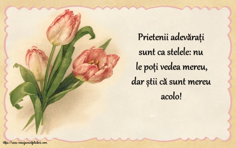 Prietenii adevărați sunt ca stelele