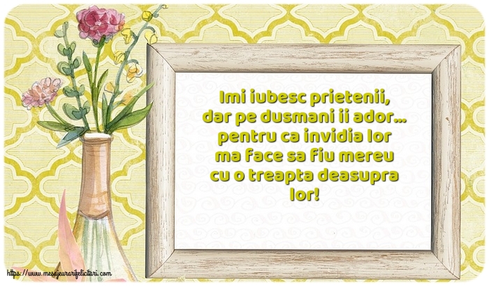 Prietenie Imi iubesc prietenii, dar pe dusmani ii ador