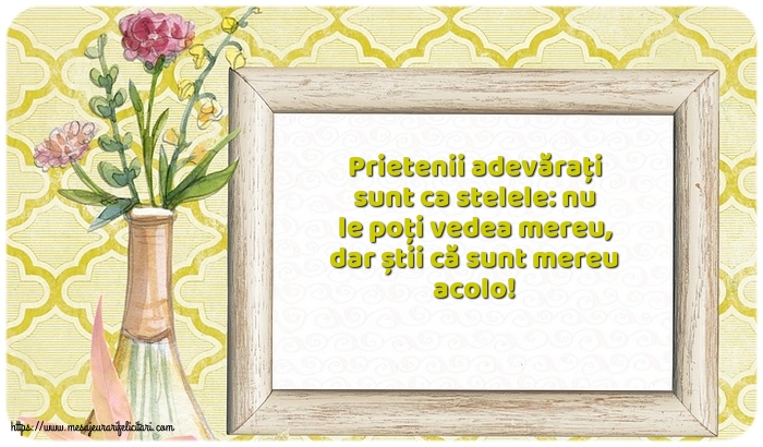 Prietenie Prietenii adevărați sunt ca stelele