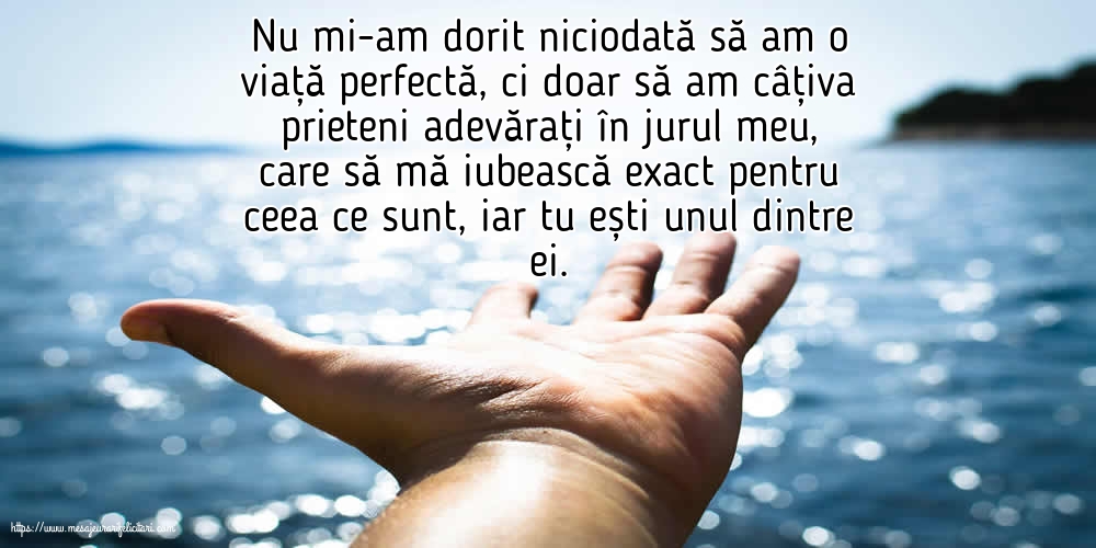 Prietenie Nu mi-am dorit niciodată să am o viață perfectă