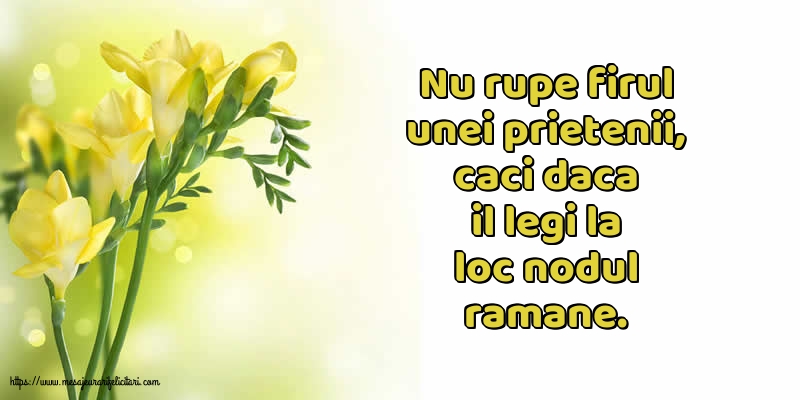 Prietenie Nu rupe firul unei prietenii
