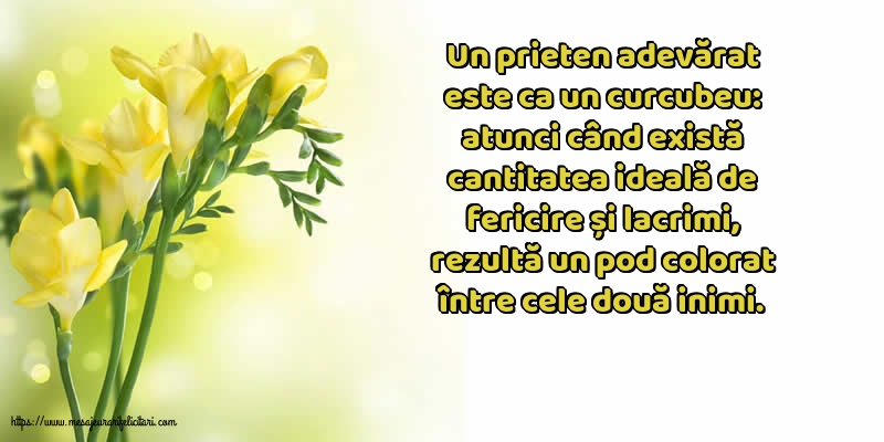 Prietenie Un prieten adevărat este ca un curcubeu