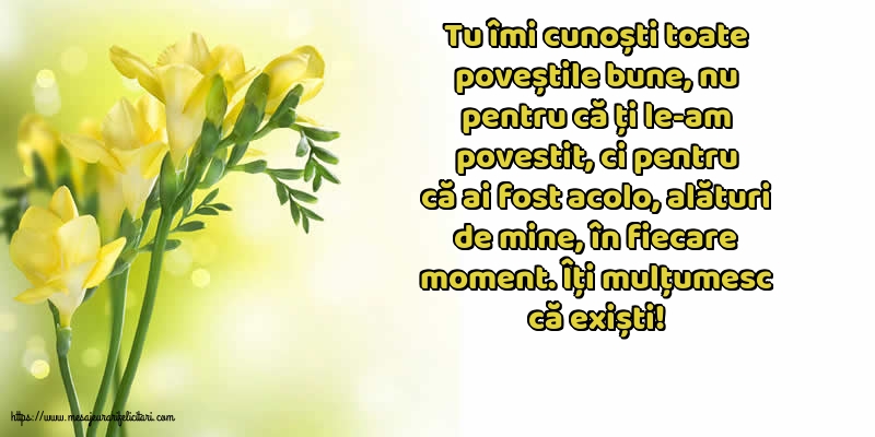 Prietenie Îți mulțumesc că exiști!