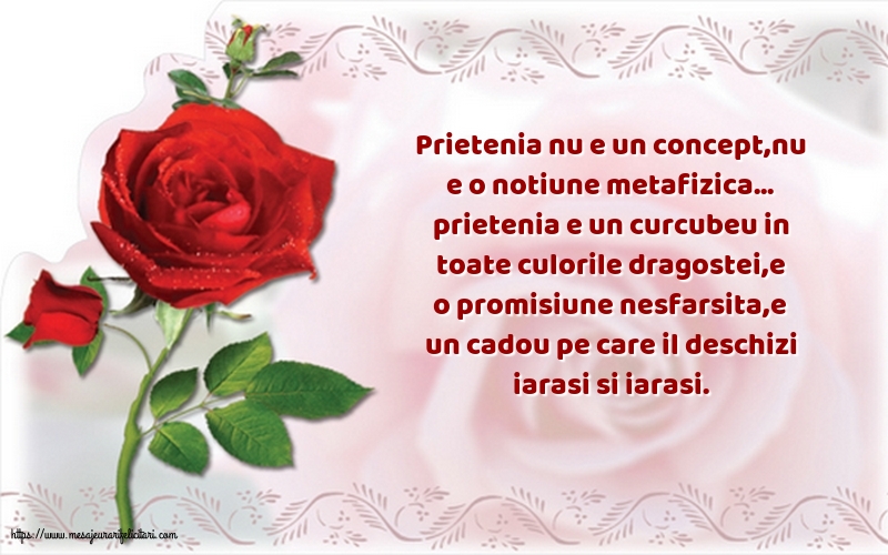 Prietenia nu e un concept,nu e o notiune metafizica