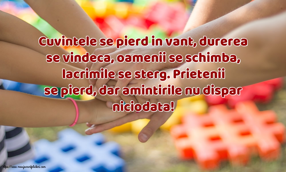 Prietenie Prietenii se pierd, dar amintirile nu dispar niciodata!